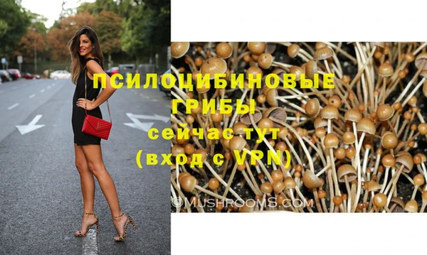 соль ск Кинешма